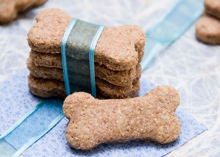 https://jenelizabethsjournals.com/wp-content/uploads/2012/05/peanut-butter-dog-treat.jpg