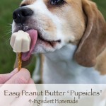 Peanut-Butter-Pupsicle-Frozen-Dog-Treats