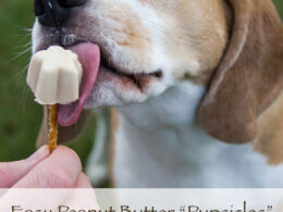 Peanut 2024 butter pupsicles