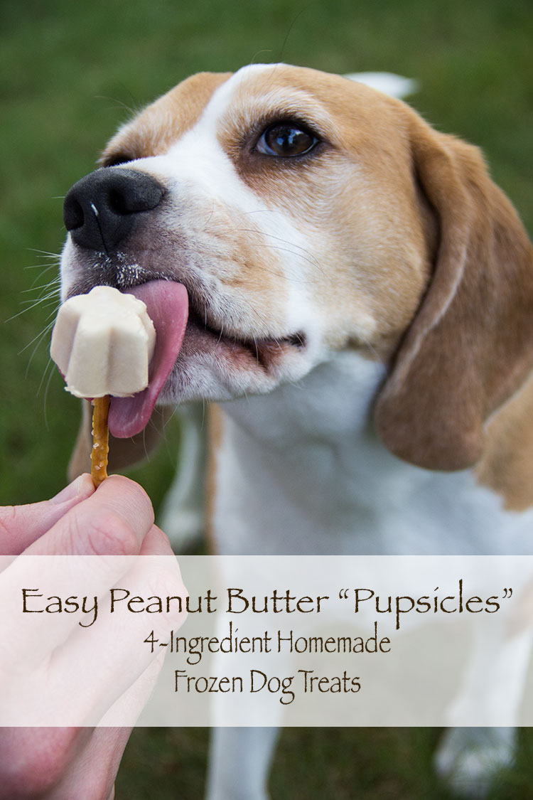 Frozen Dog Treat - Dog Friendly Popsicles