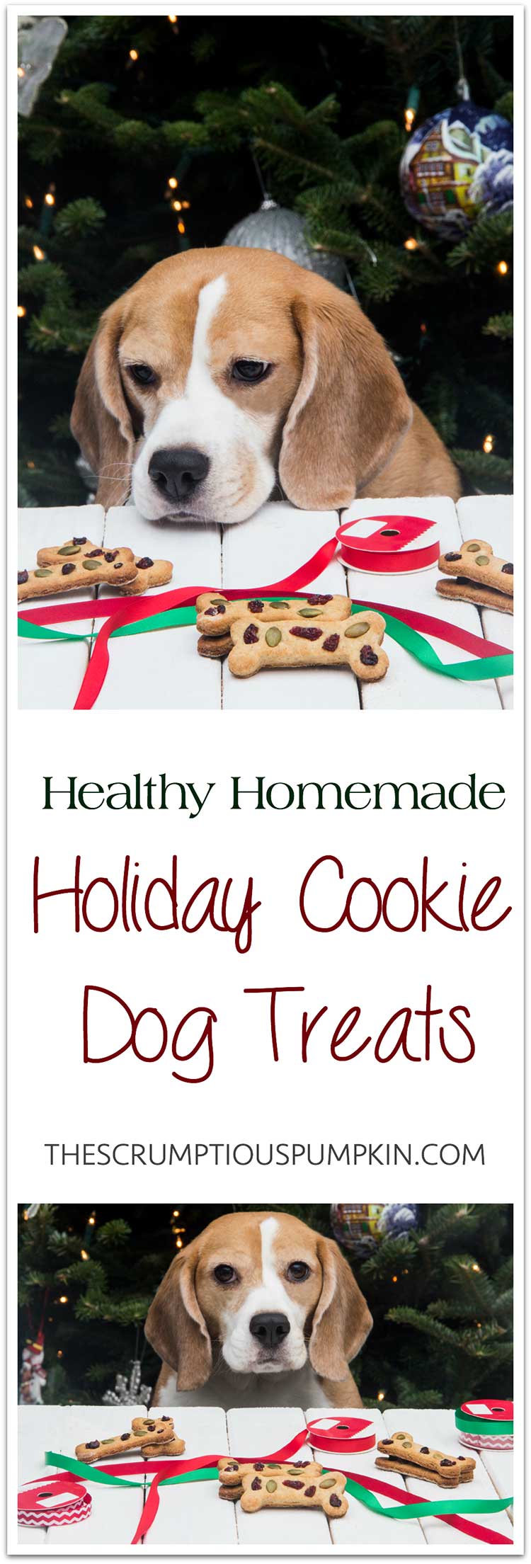 Homemade dog treats outlet christmas