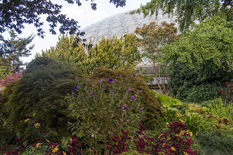 Queen-Elizabeth-Park-Bloedel-Conservatory