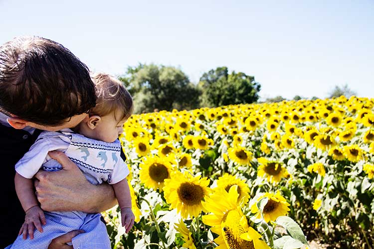 baby-and-dad-gazing-at-sunflowers