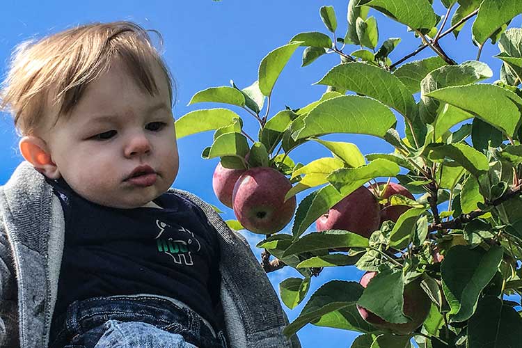 baby-near-apple-tree