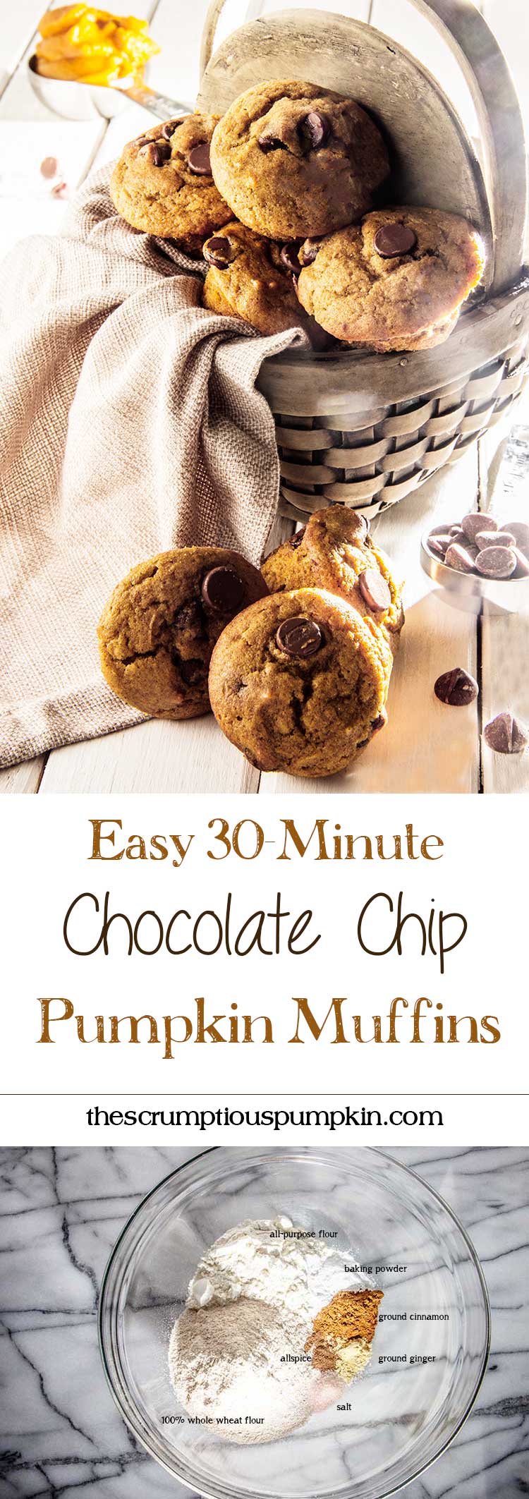 easy-30-minute-chocolate-chip-pumpkin-muffins