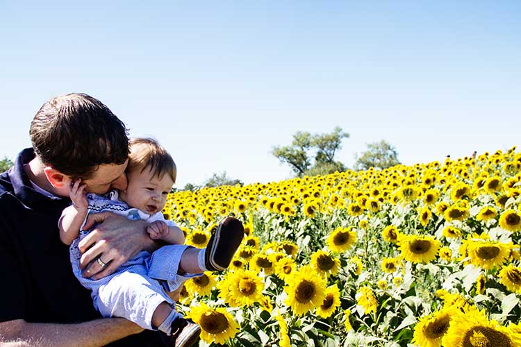 father-and-baby-field-of-sunflowers