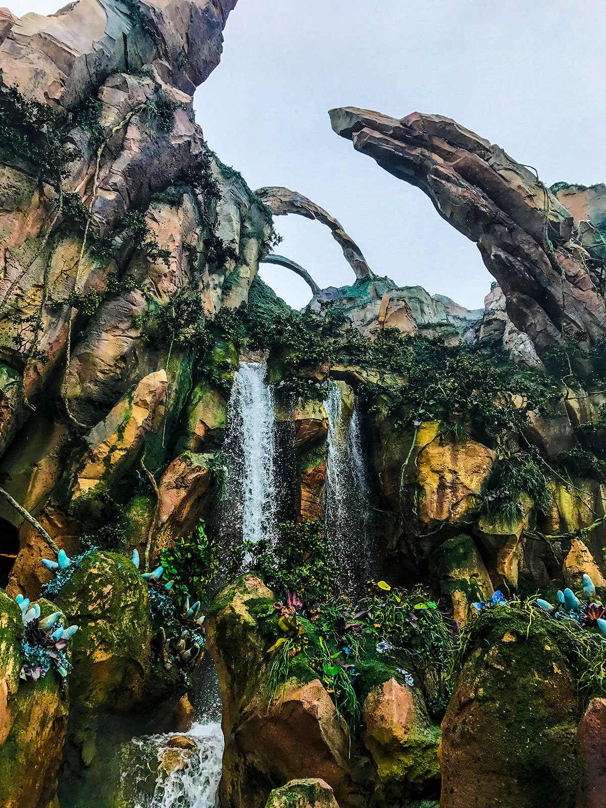 Pandora-World-of-Avatar