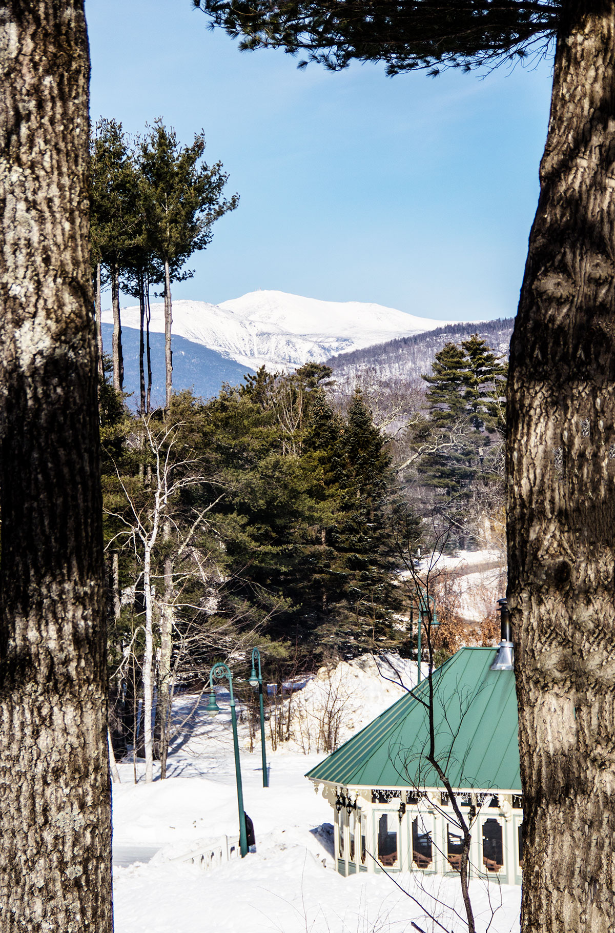 nestlenook-farm-in-winter-white-mountains