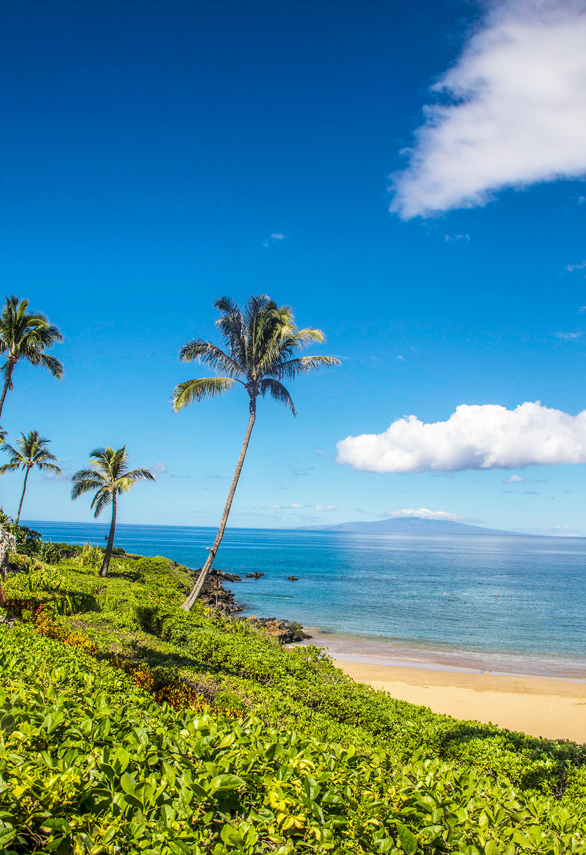 Four-Seasons-Maui-Beach