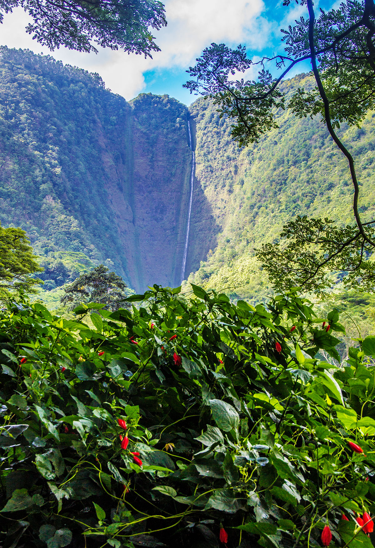 the-waterfalls-of-waipio-valley