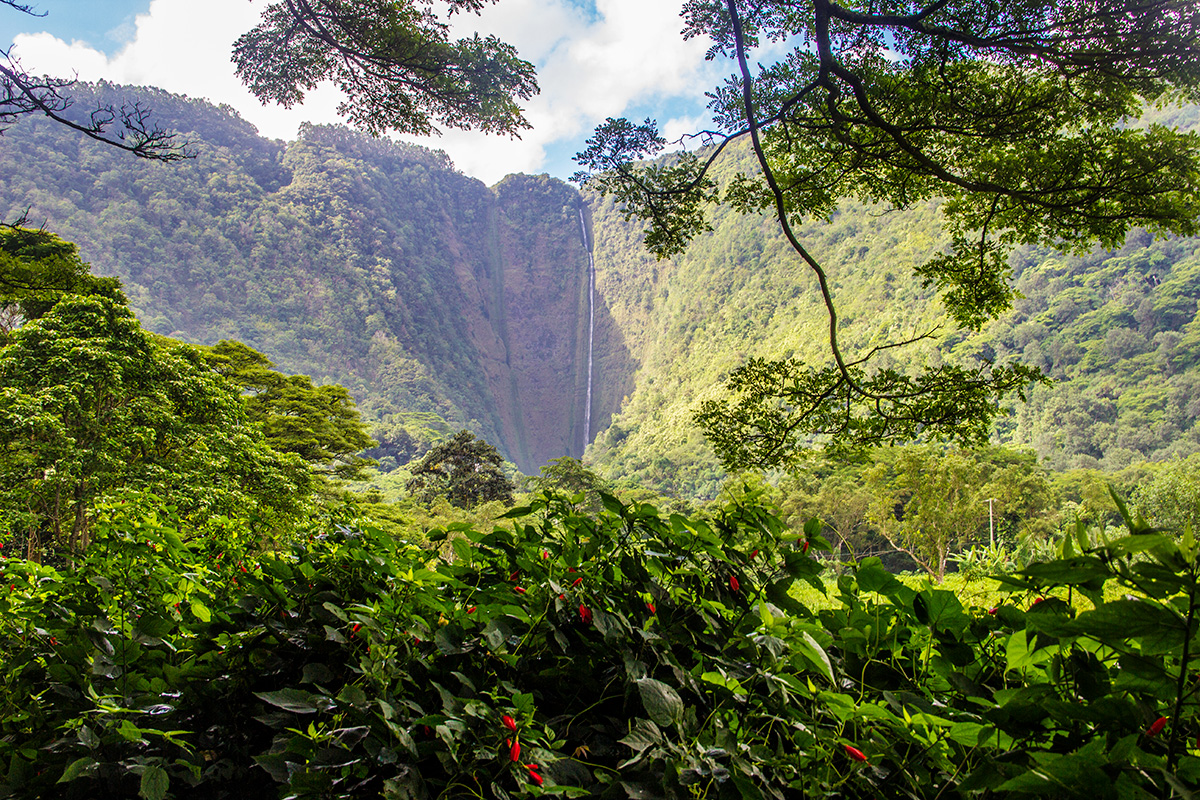 the-waterfalls-of-waipio