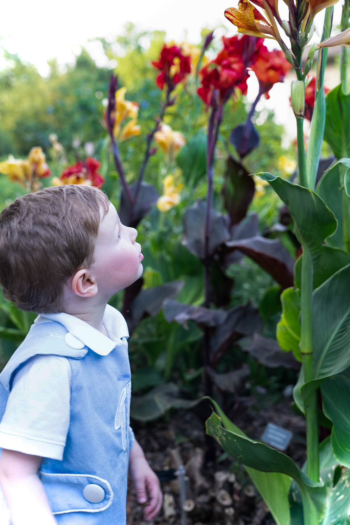 Exploring-Atlanta-Botanical-Garden