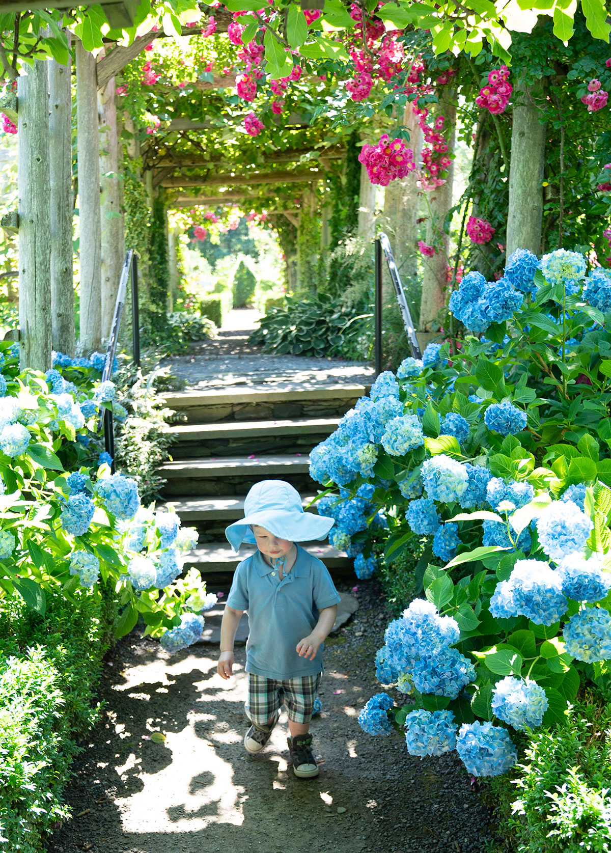 Trevor-Michael-at-Green-Animals-Topiary-Garden-Newport-RI