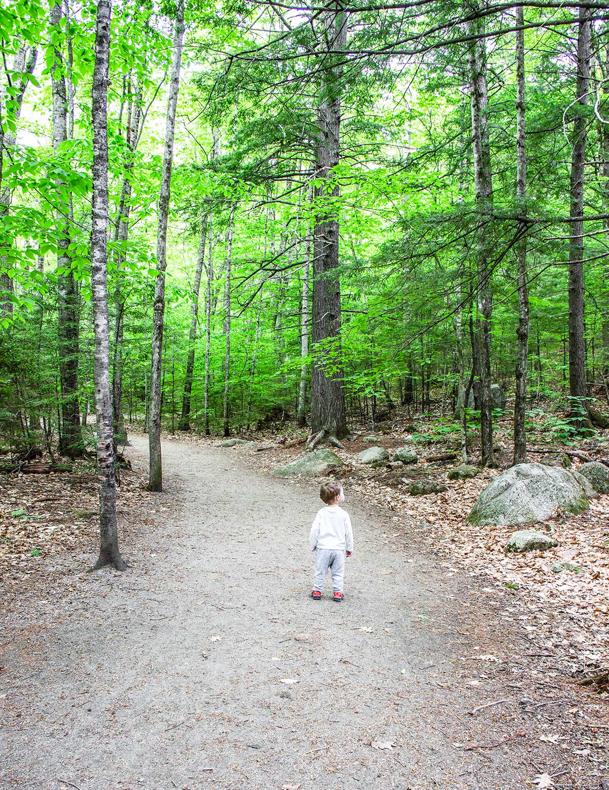 Hiking-Dianas-Baths-North-Conway-NH