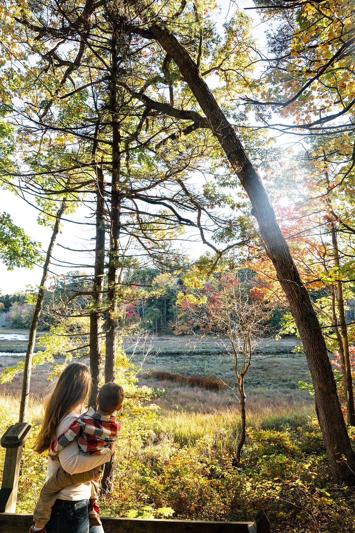 Autumn-Fall-Beauty-Rachel-Carson-Wildlife-Refuge