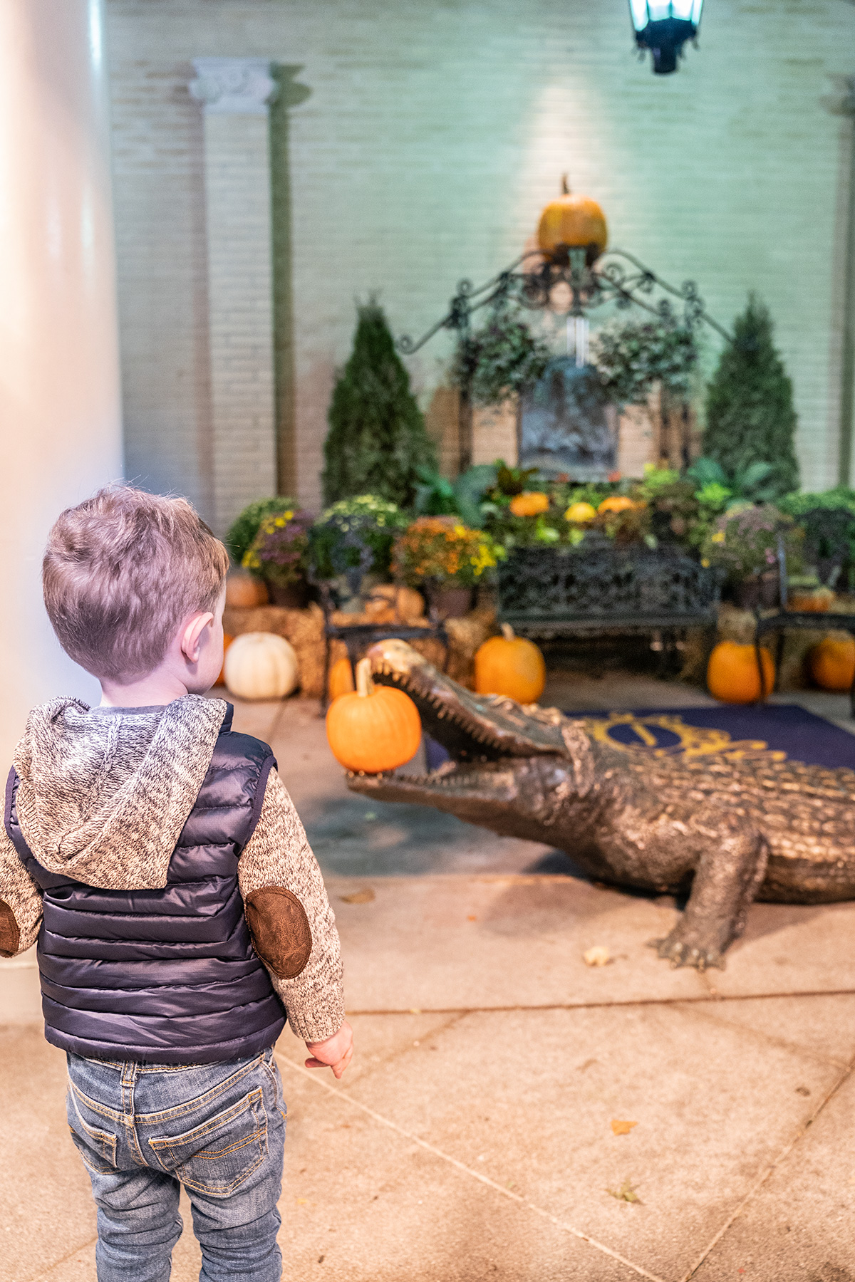 Alligator-Display-The-Jefferson-Hotel-Richmond