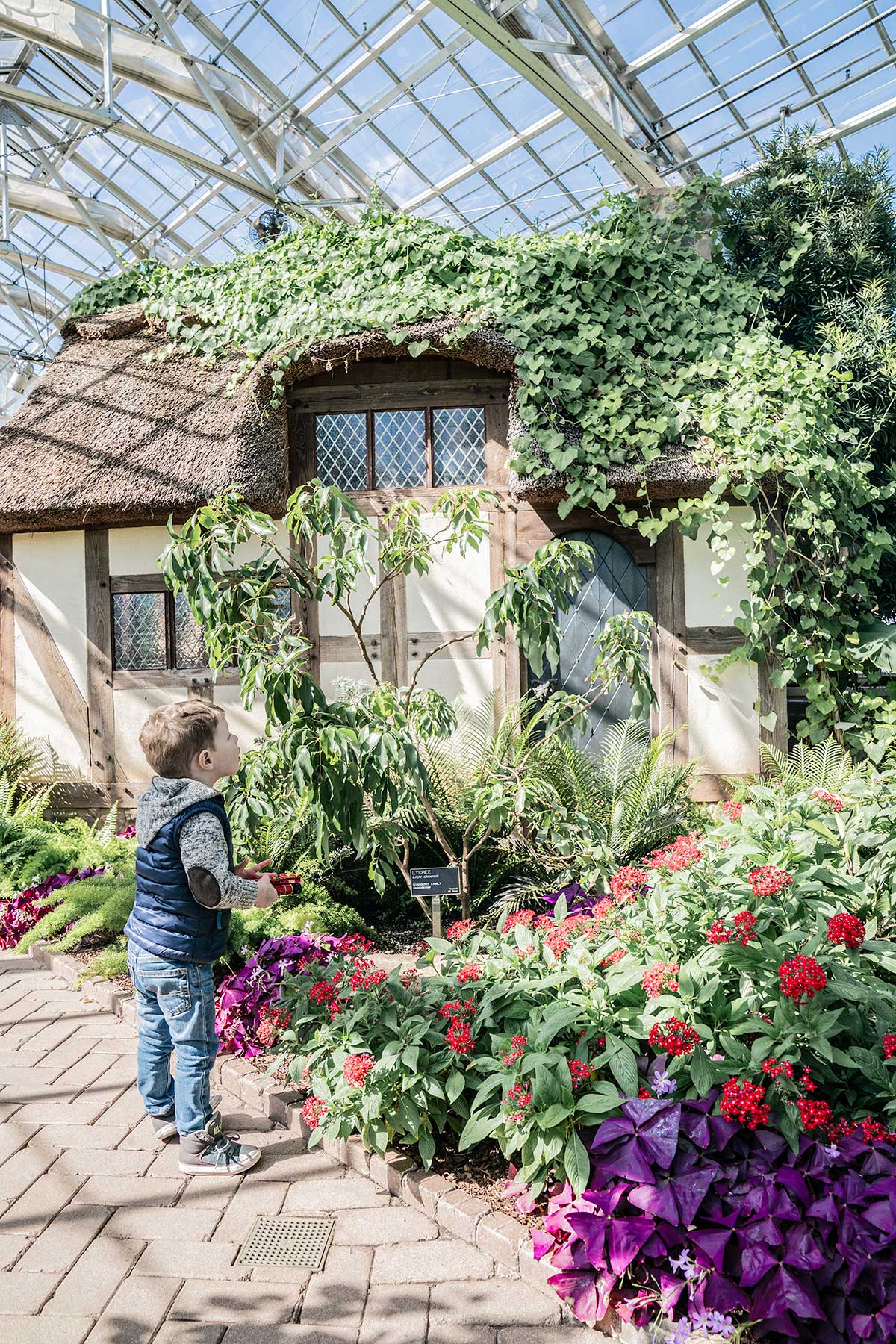 Conservatory-at-Lewis-Ginter-Botanical-Garden-Richmond-Virginia