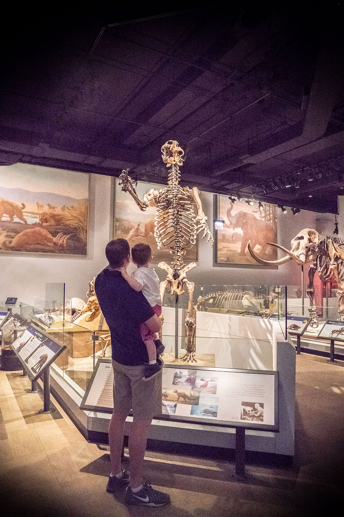 The-Field-Musuem-of-Natural-History-Chicago-exhibit