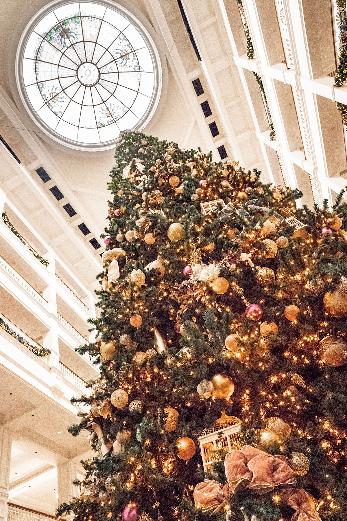 A-Grand-Floridian-Christmas-at-WDW