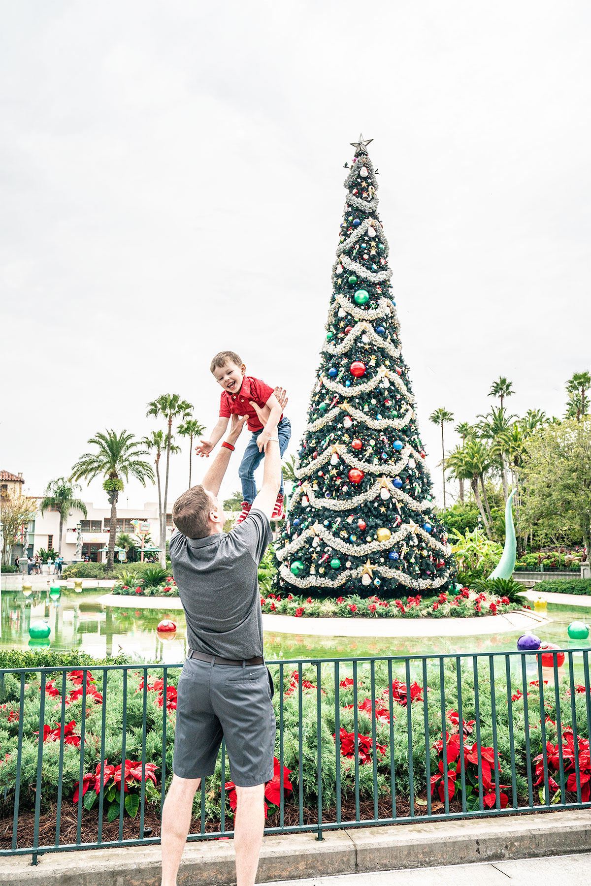 Walt Disney World At Christmas Part Iii Of Disney World Christmas Series Jen Elizabeth S Journals