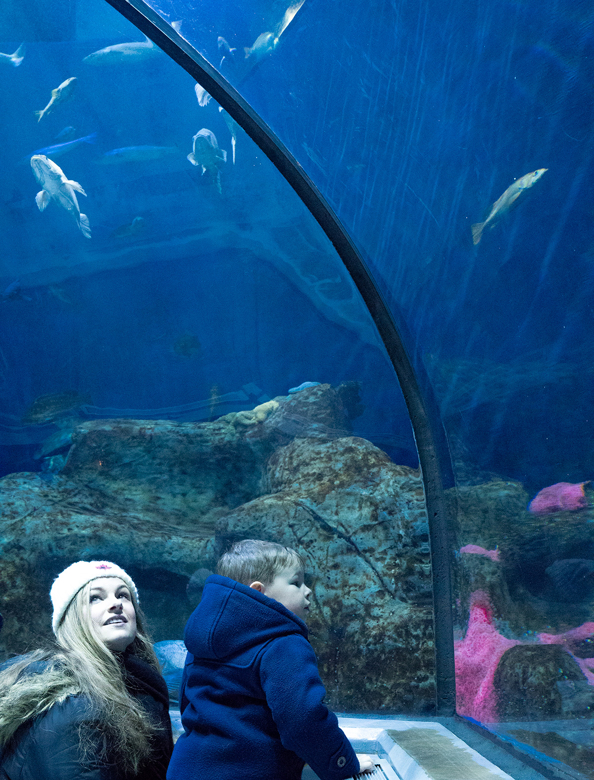 Tunnel-Aquarium-du-Quebec