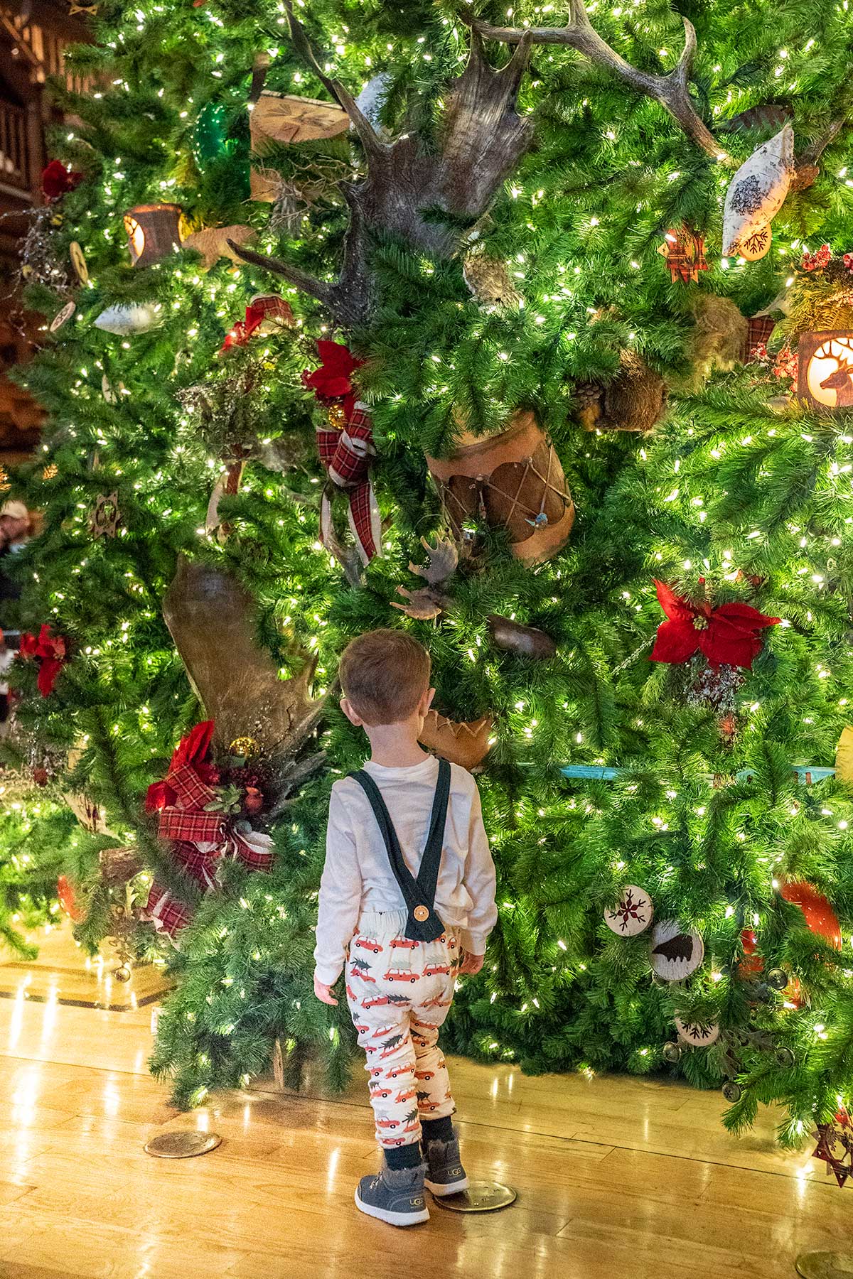 Christmas-Tree-Wilderness-Lodge