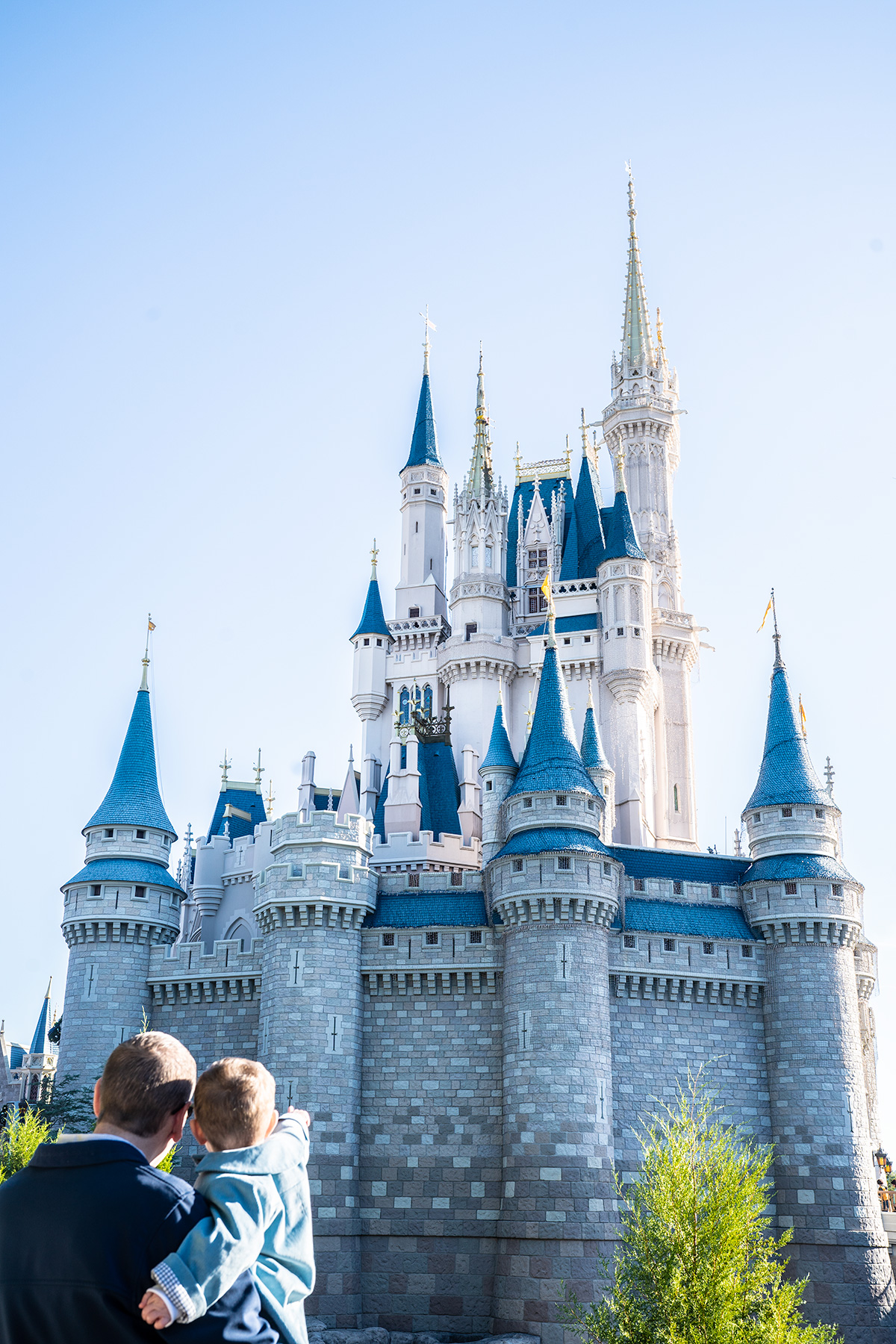 Cinderella-Castle-Walt-Disney-world-at-Christmas