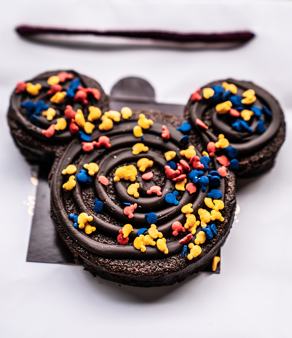 Mickey-Brownie-Wilderness-Lodge