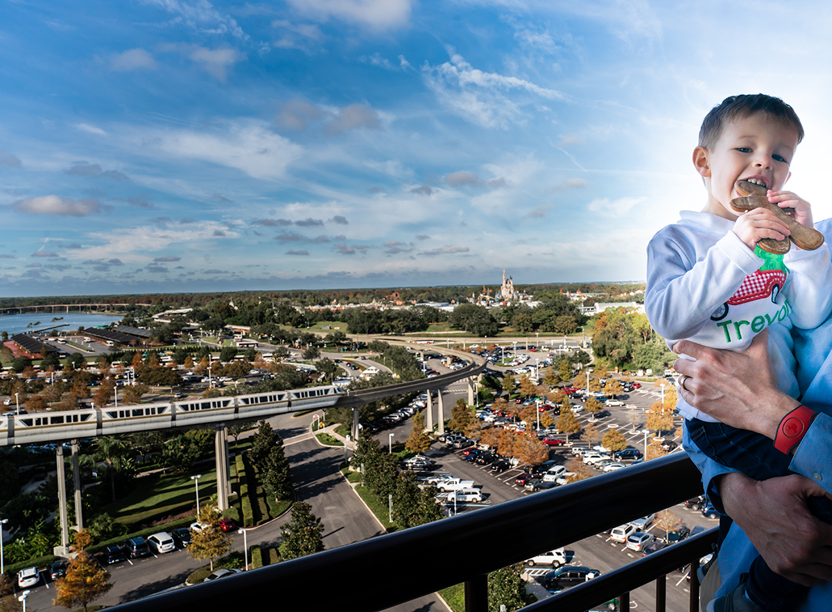 Contemporary-Resort-View-Walt-Disney-World