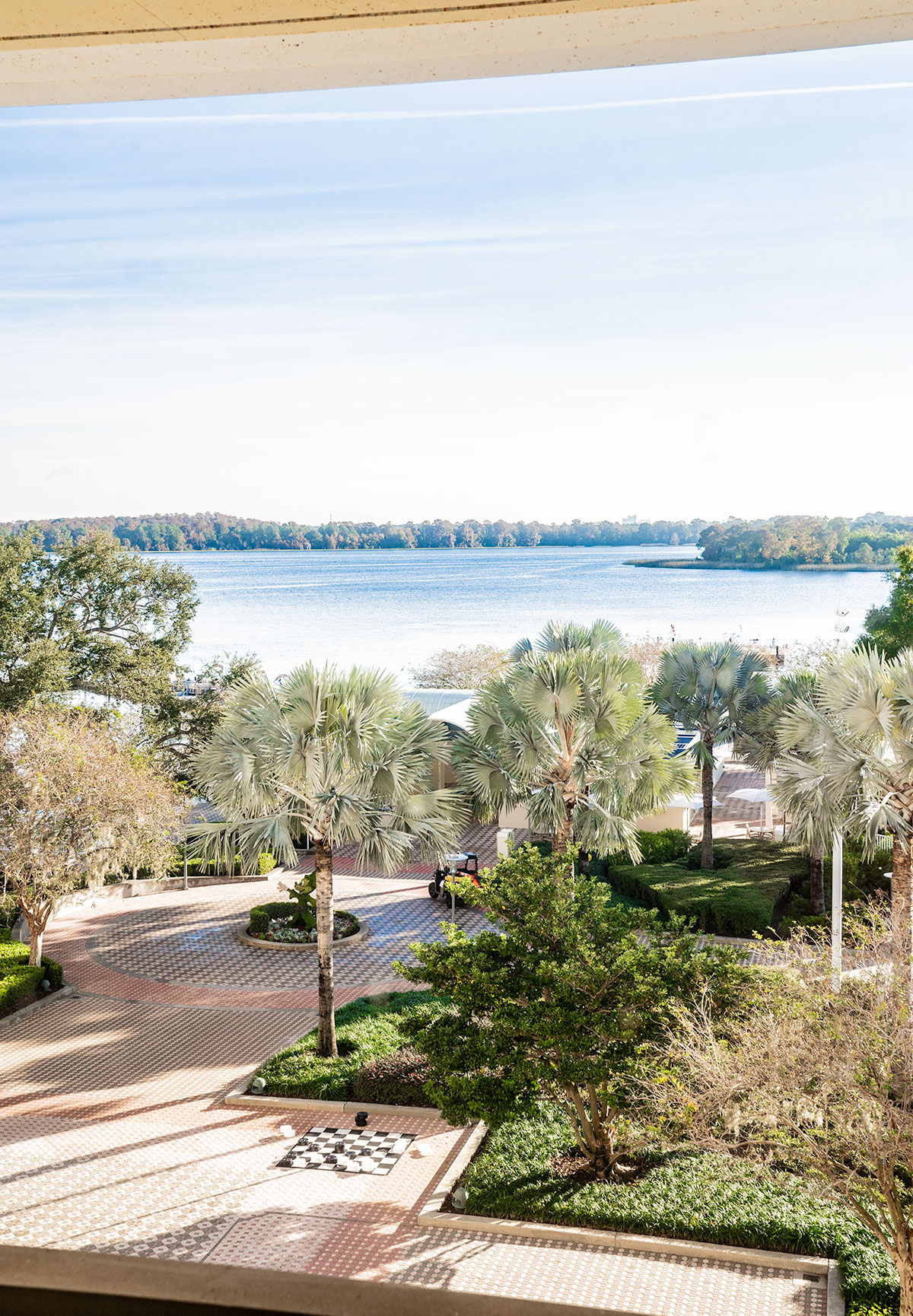 View-from-Sky-Walk-Bridge-Disneys-Contemporary-Resort