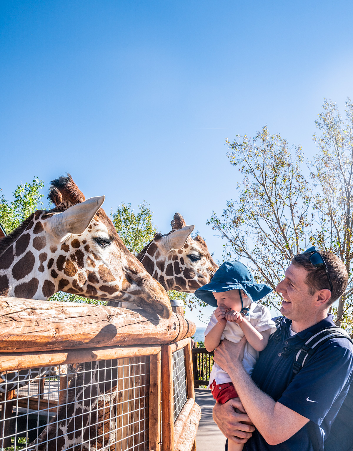 Meeting-Giraffes-Cheyenne-Mountain-Zoo-Colorado-Springs