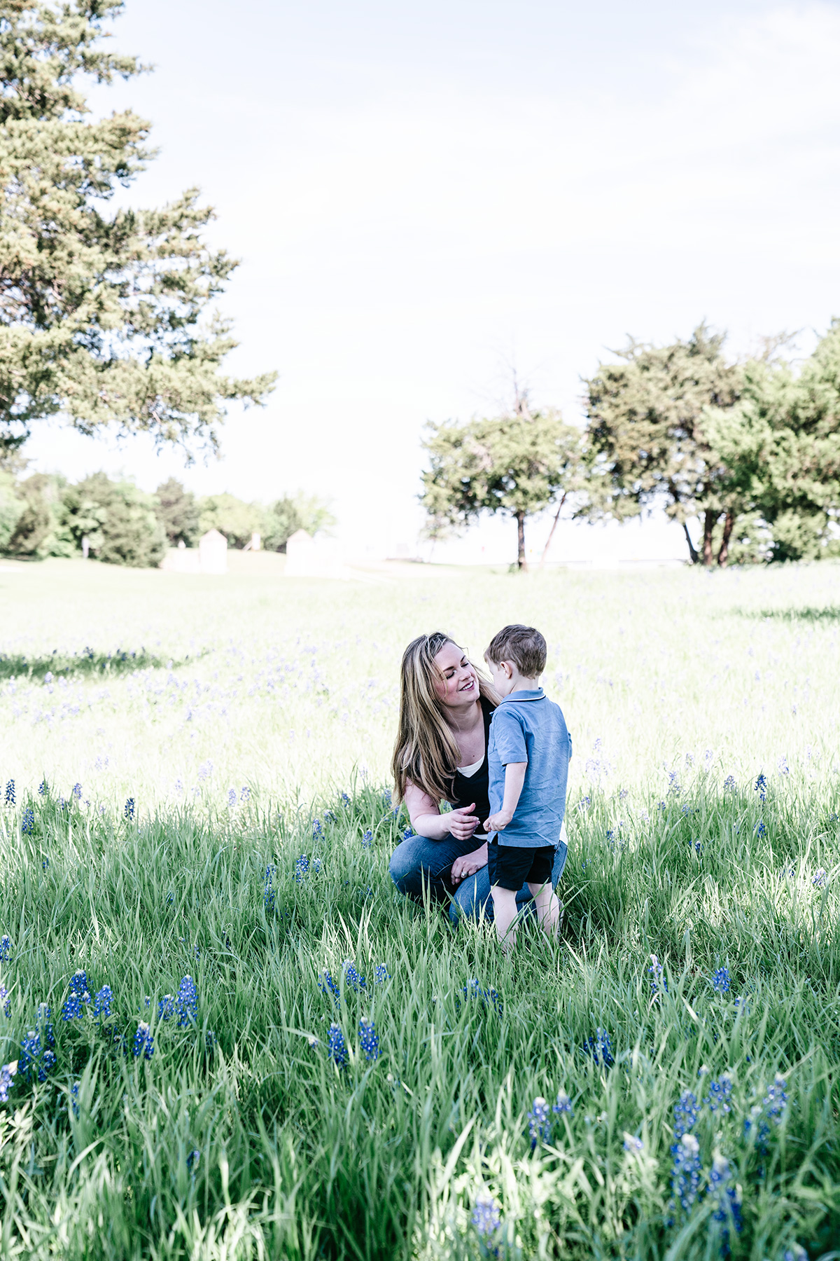 Travel-Journal-Exploring-the-Texas-Bluebonnet-Trails