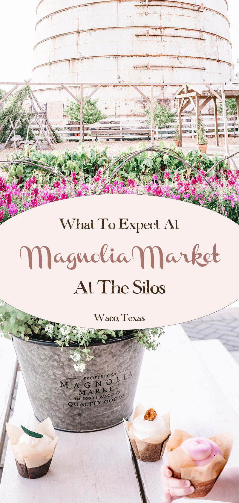 What-To-Expect-At-Magnolia-Market-at-the-Silos-in-Waco-Texas
