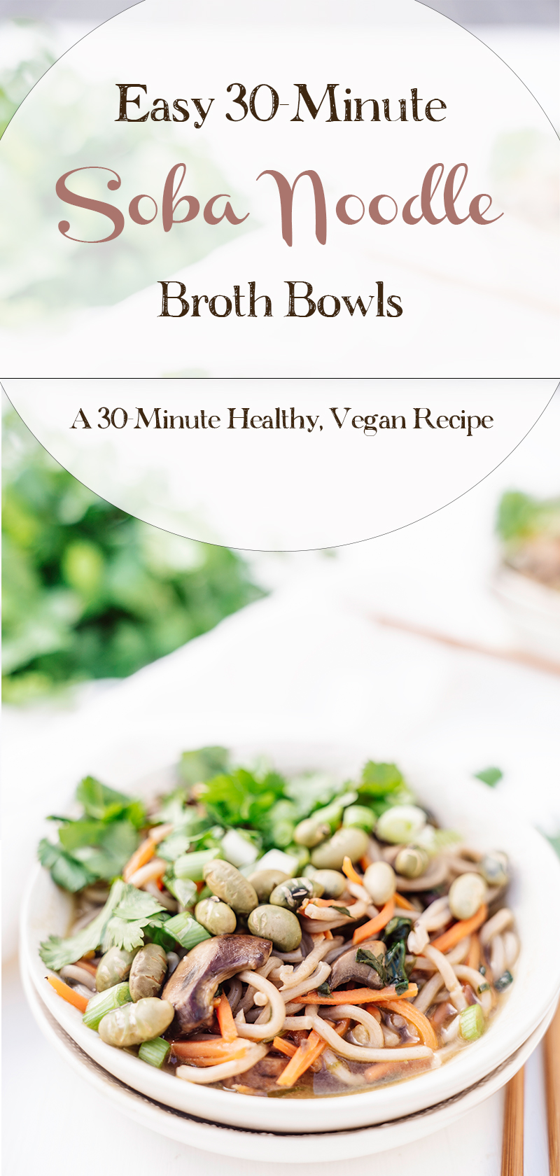 Easy-30-Minute-Soba-Noodle-Broth-Bowls-A-Healthy-Vegan-Recipe