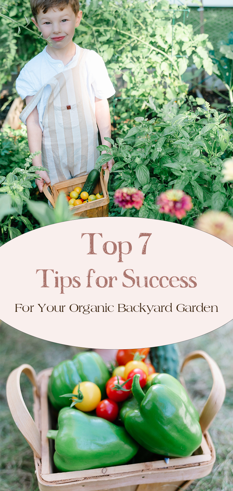 Top-7-Tips-For-Success-Organic-Backyard-Garden